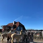 Alpaka Haus Sanssouci Oberharz Daire *