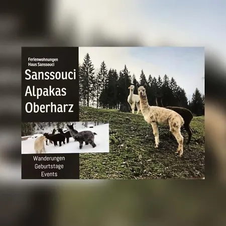 Alpaka Haus Sanssouci Oberharz شقة تانه