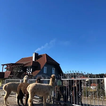 Alpaka Haus Sanssouci Oberharz شقة *