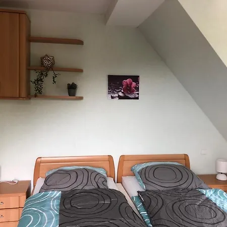 Alpaka Haus Sanssouci Oberharz アパート