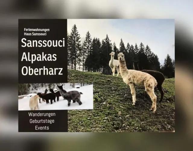 Alpaka Haus Sanssouci Oberharz شقة تانه