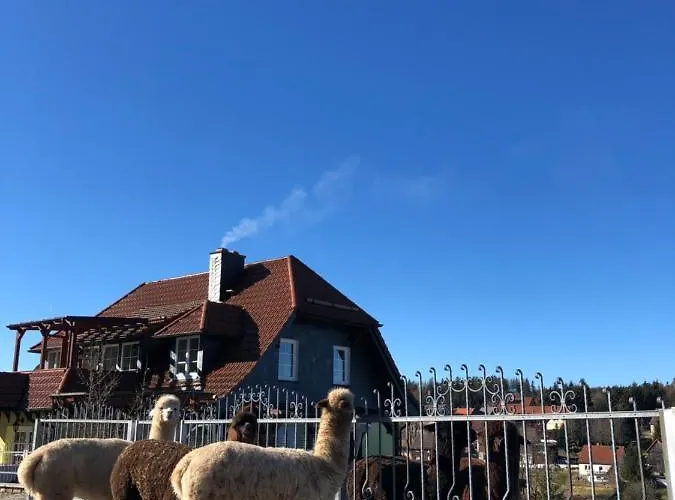Alpaka Haus Sanssouci Oberharz شقة *